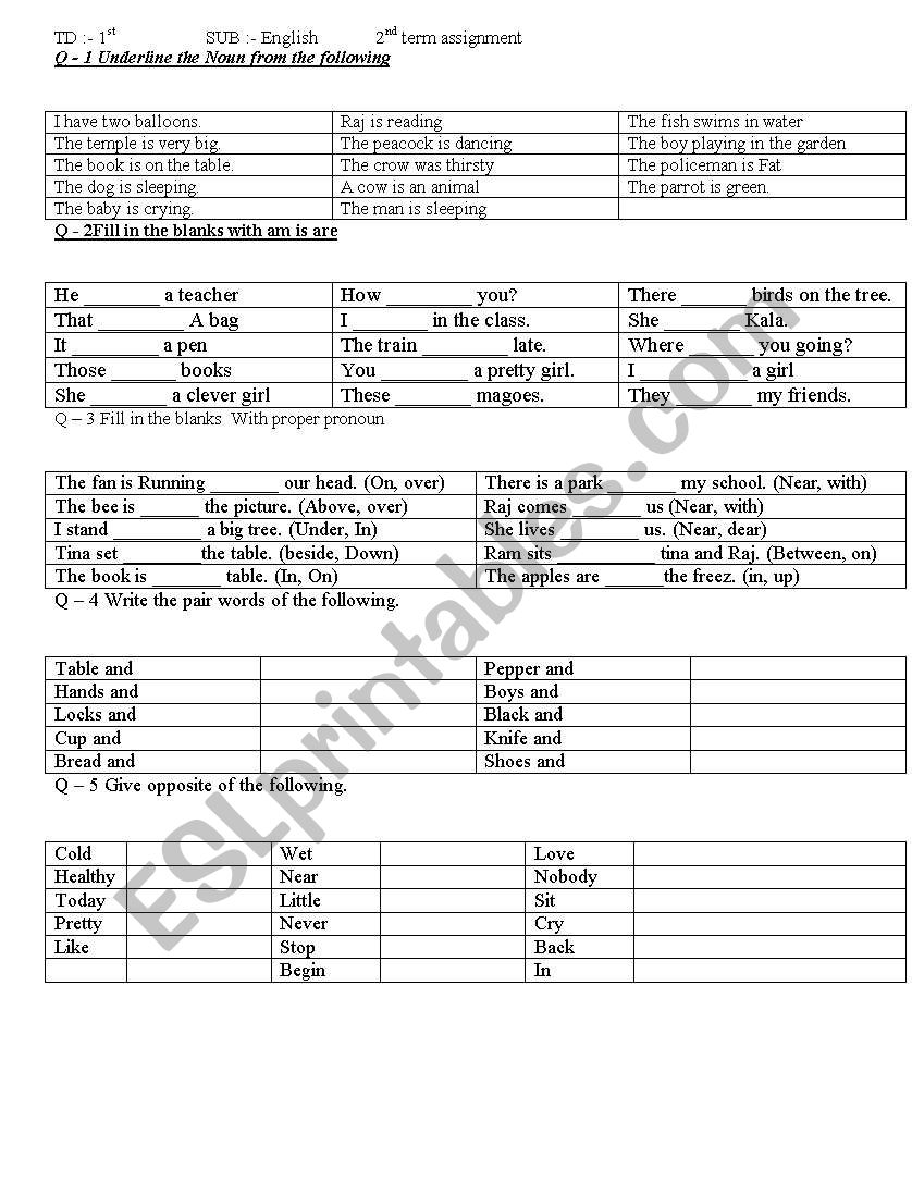 English atricle, plural, pair of words