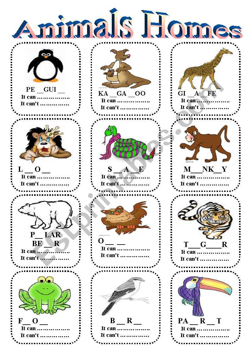 animal homes worksheet