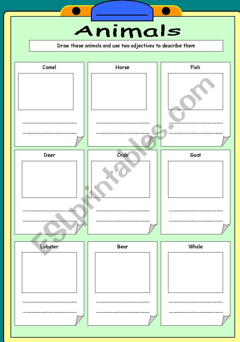 Animals 2 pages worksheet