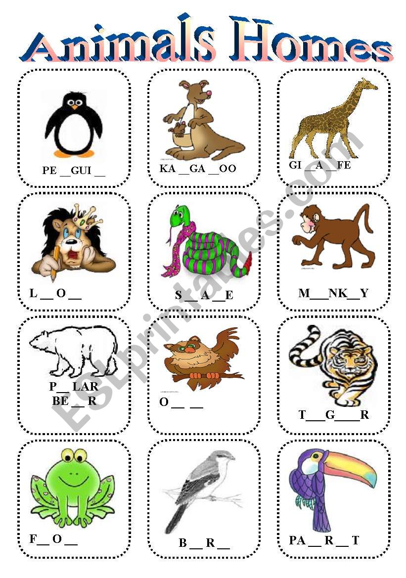 animal homes worksheet