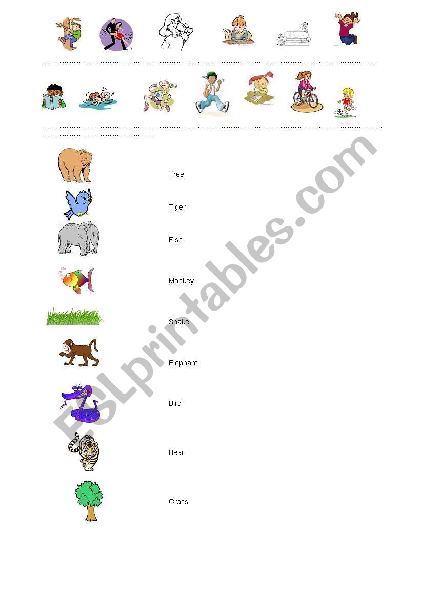 animals worksheet