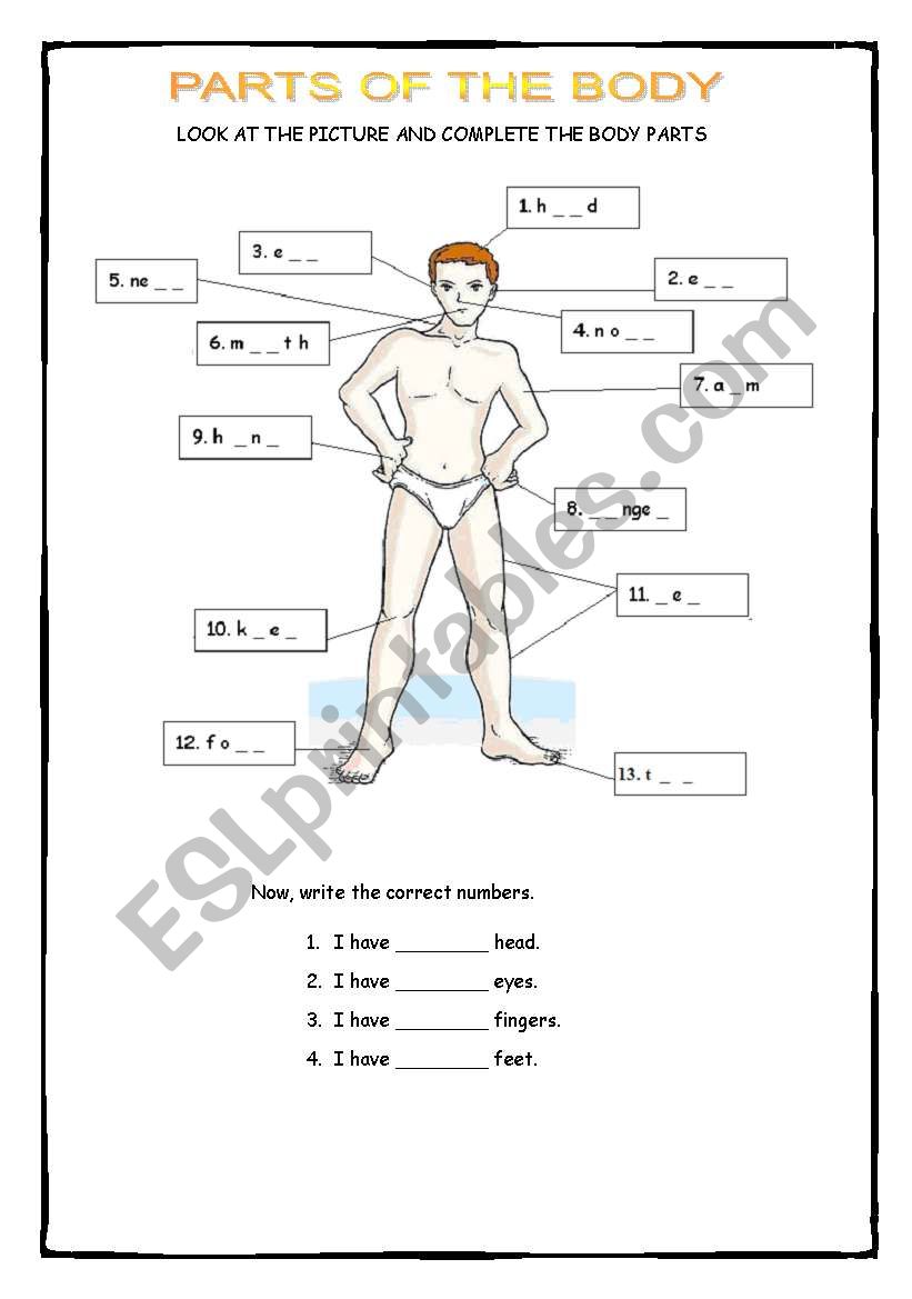 Parts of the body worksheet