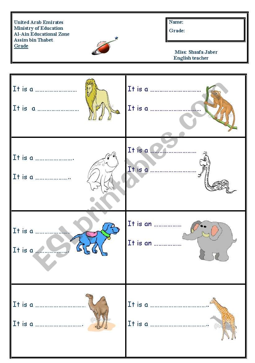 animals worksheet