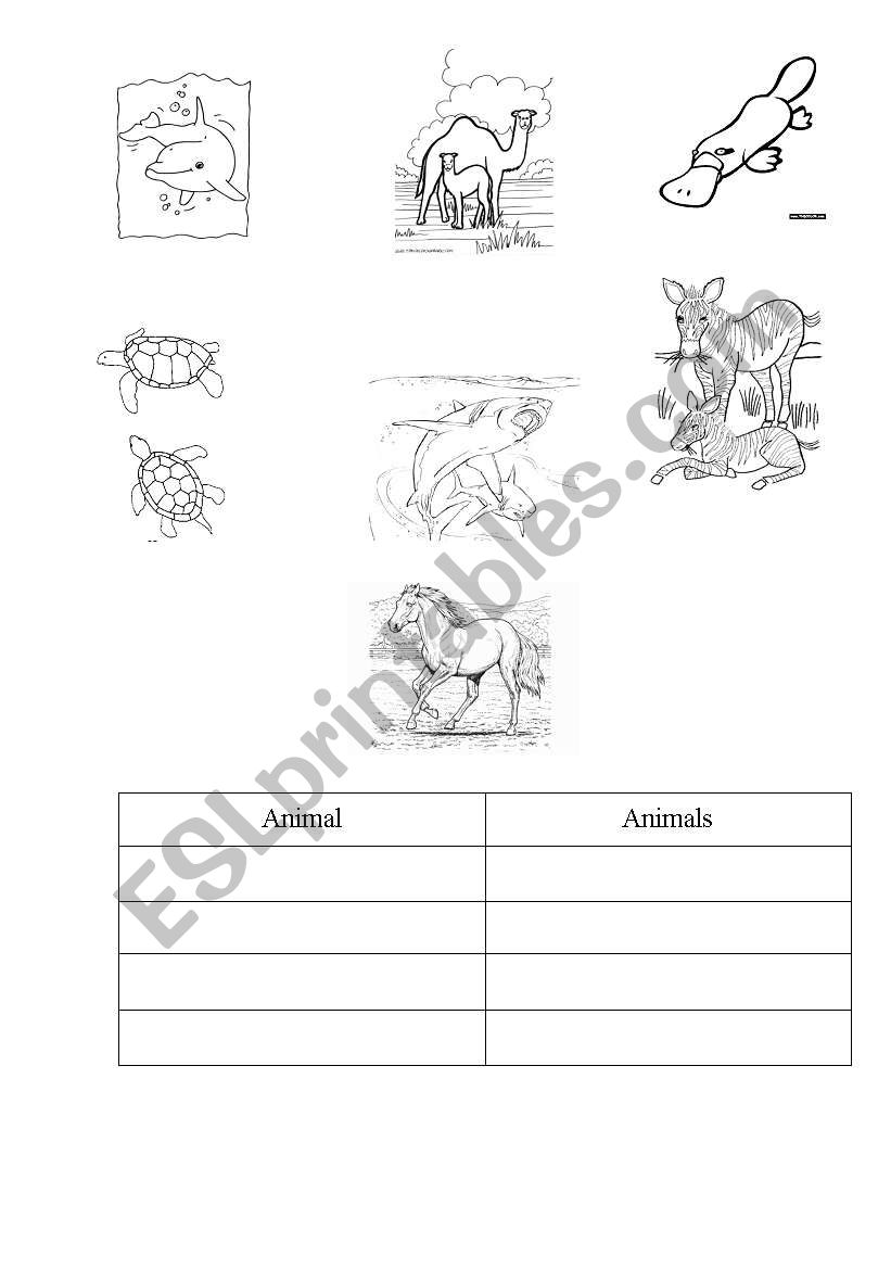 Write in plural worksheet