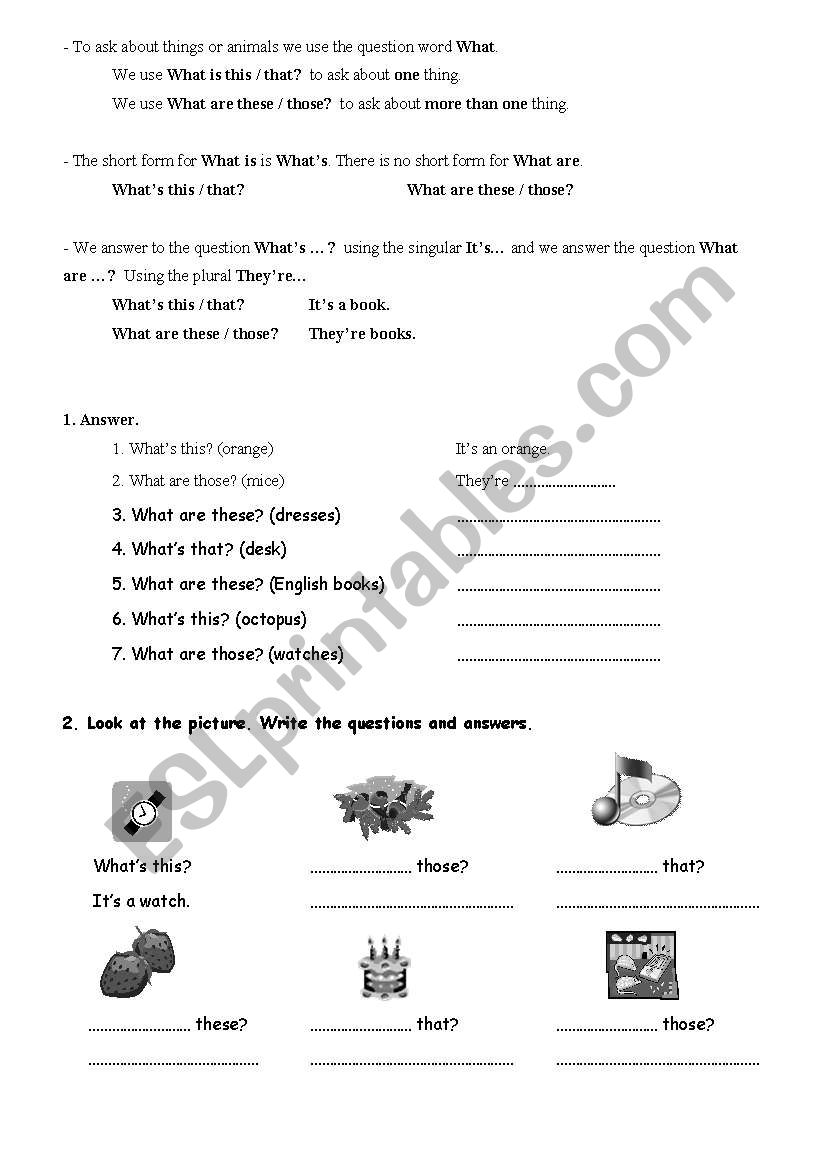 What is..? what are...? worksheet