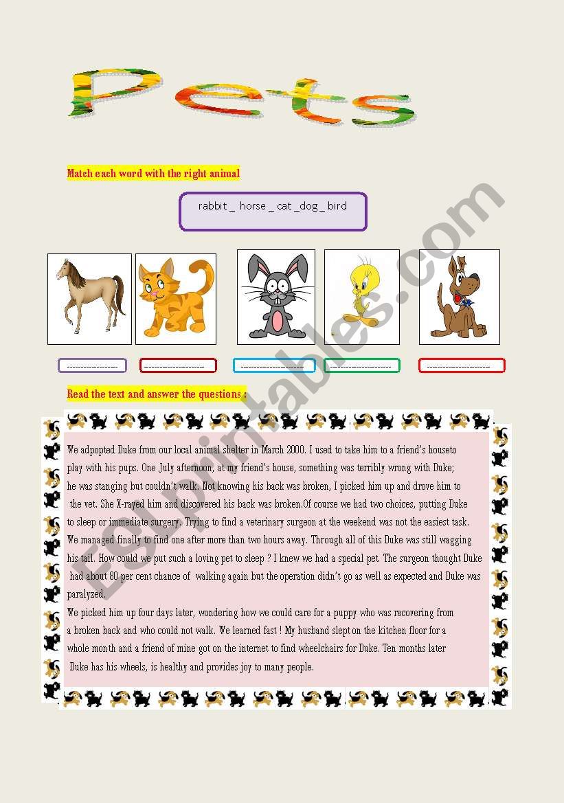 pets worksheet