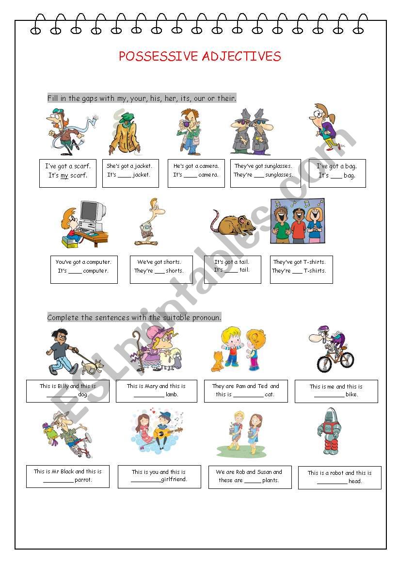 Possessive Adjectives worksheet