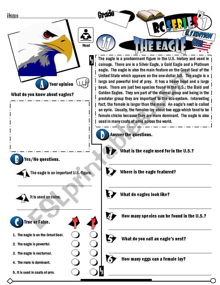  RC Series_U.S Edition_11 Eagle (Fully Editable)