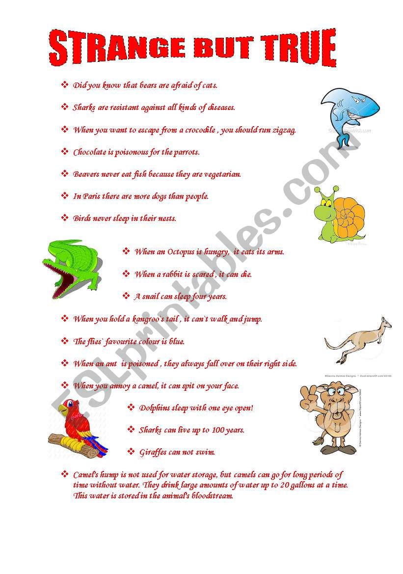 strange but true facts about animals - ESL worksheet by eltpinar
