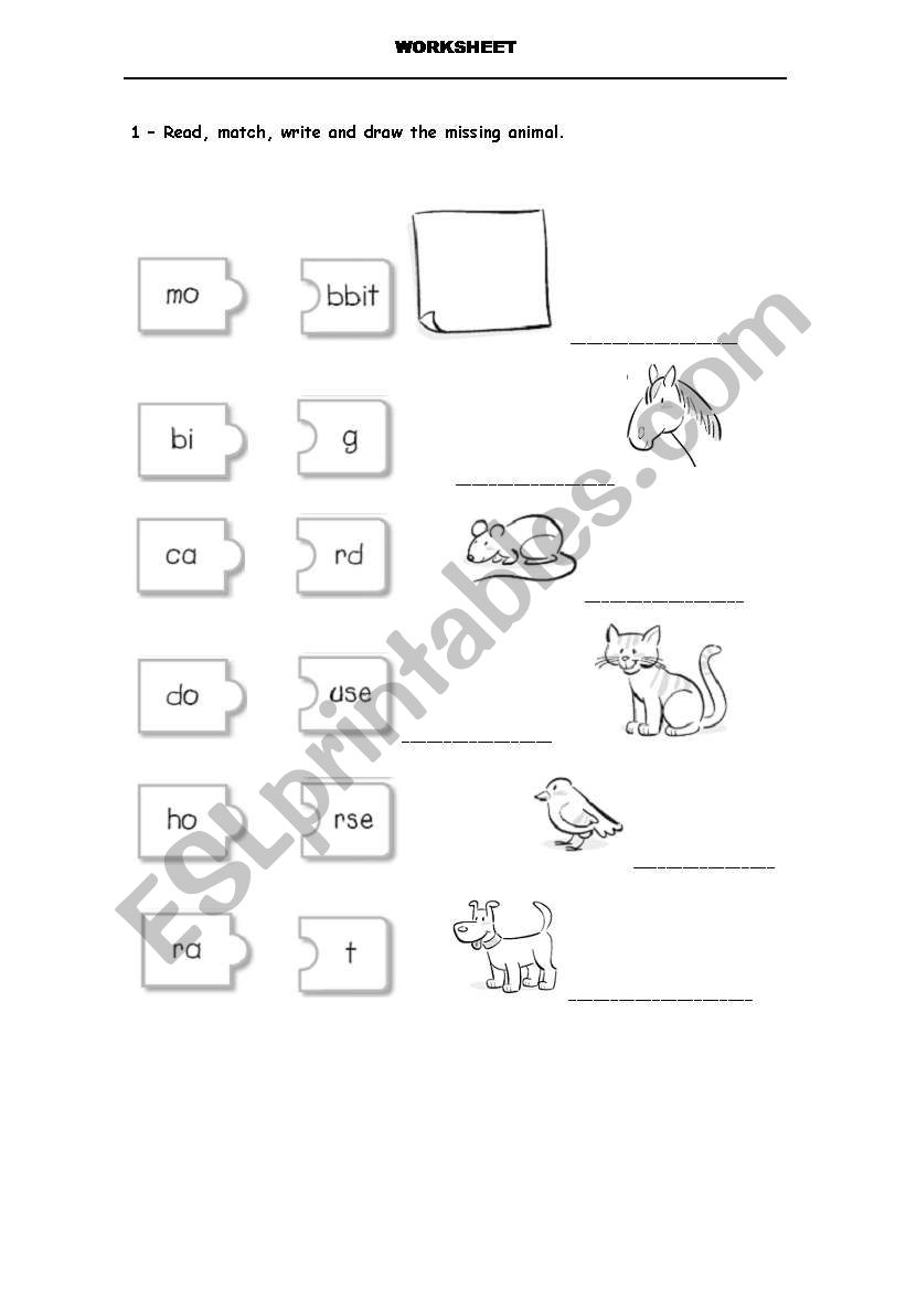 Pets worksheet