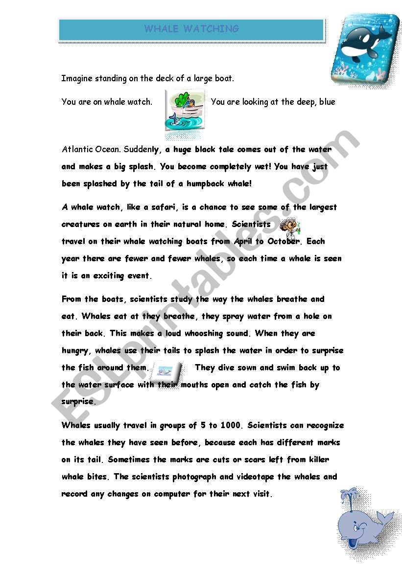 whale watching worksheet