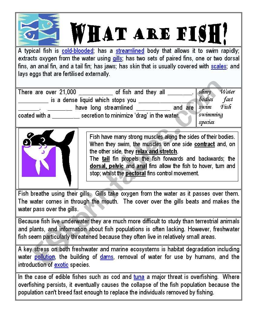 Comprehension Activity - Fish worksheet