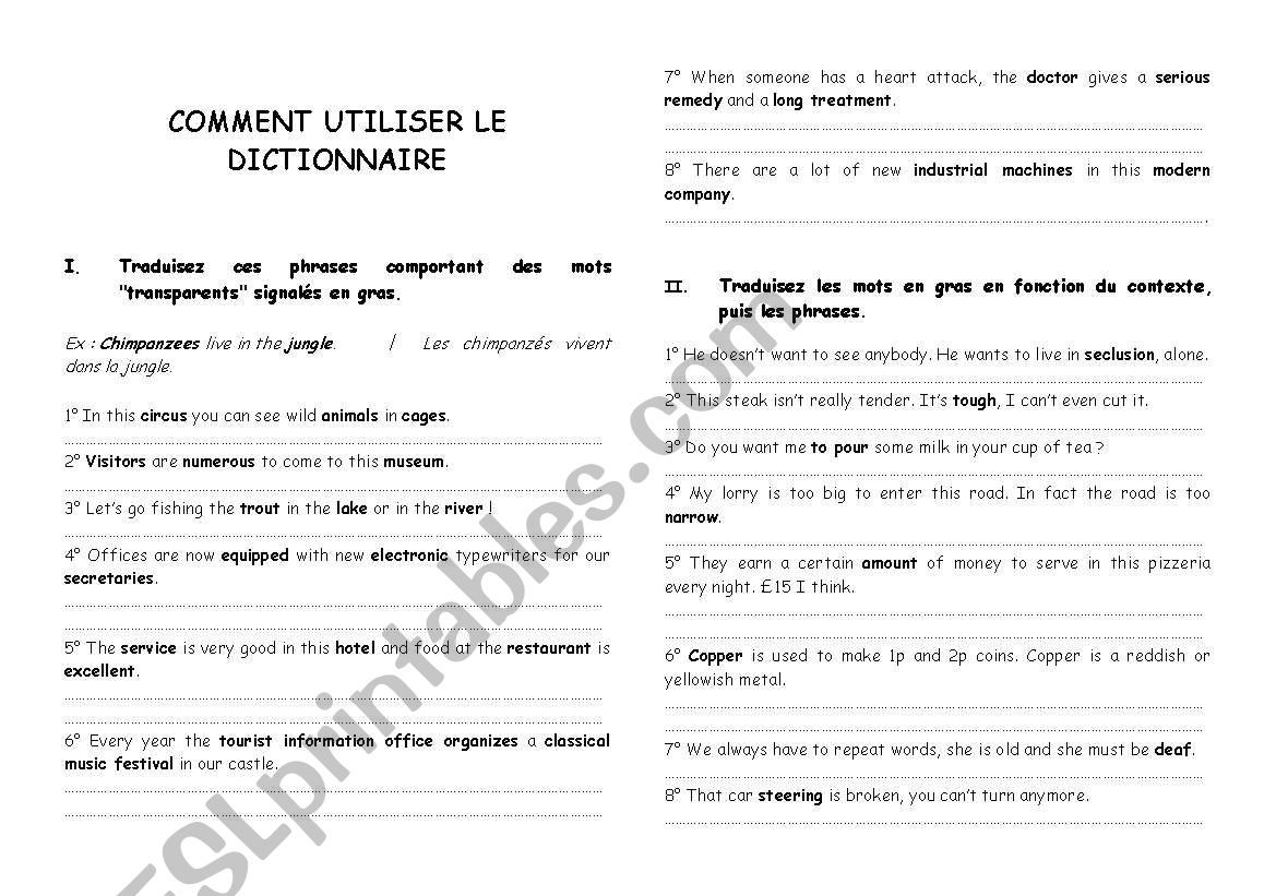 Dictionary worksheet