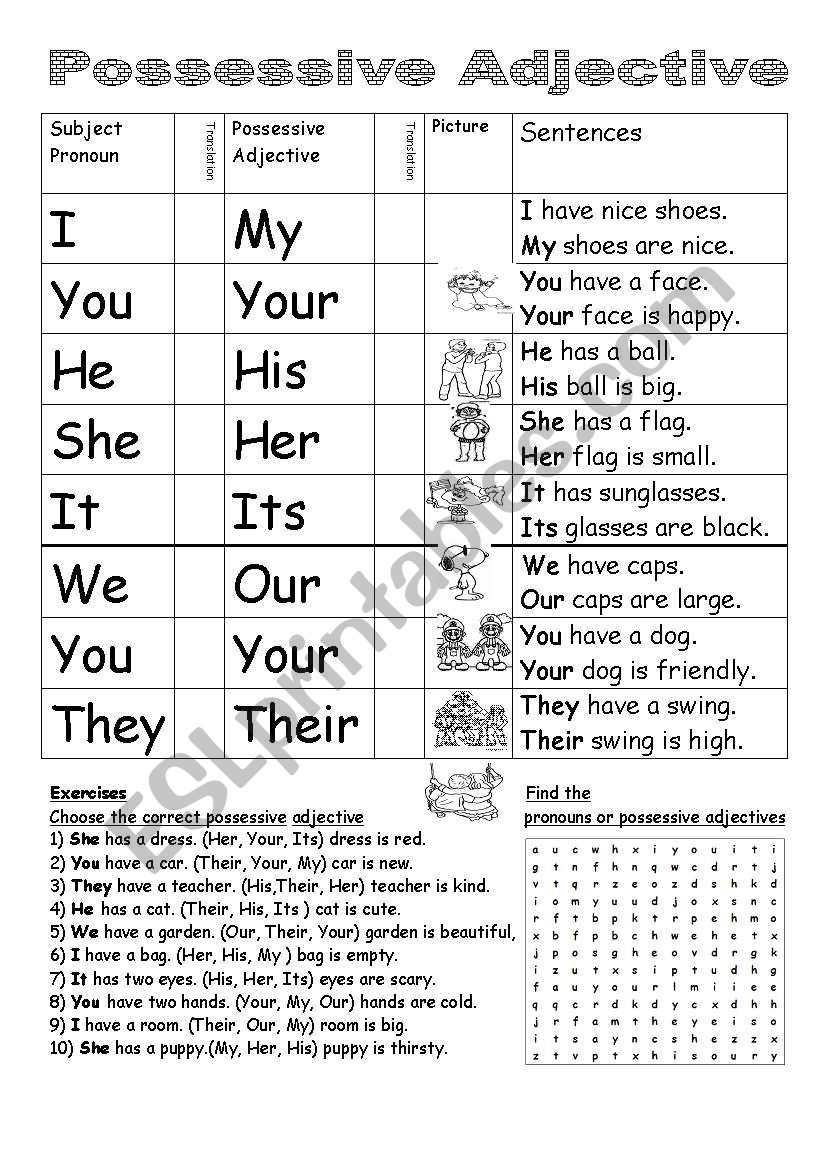 Possessive Adjective ESL Worksheet By Ronit85