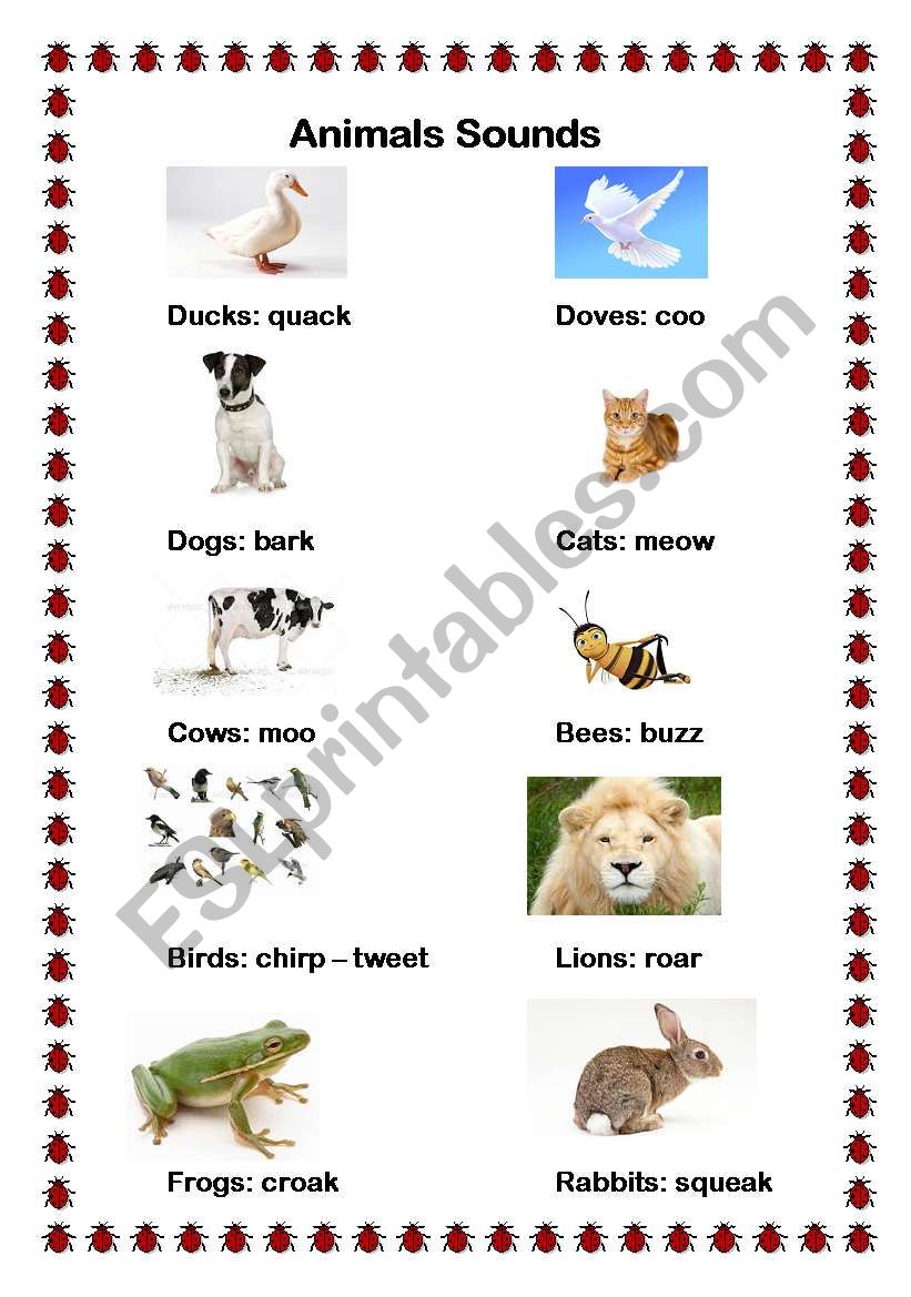 Animals sounds worksheet