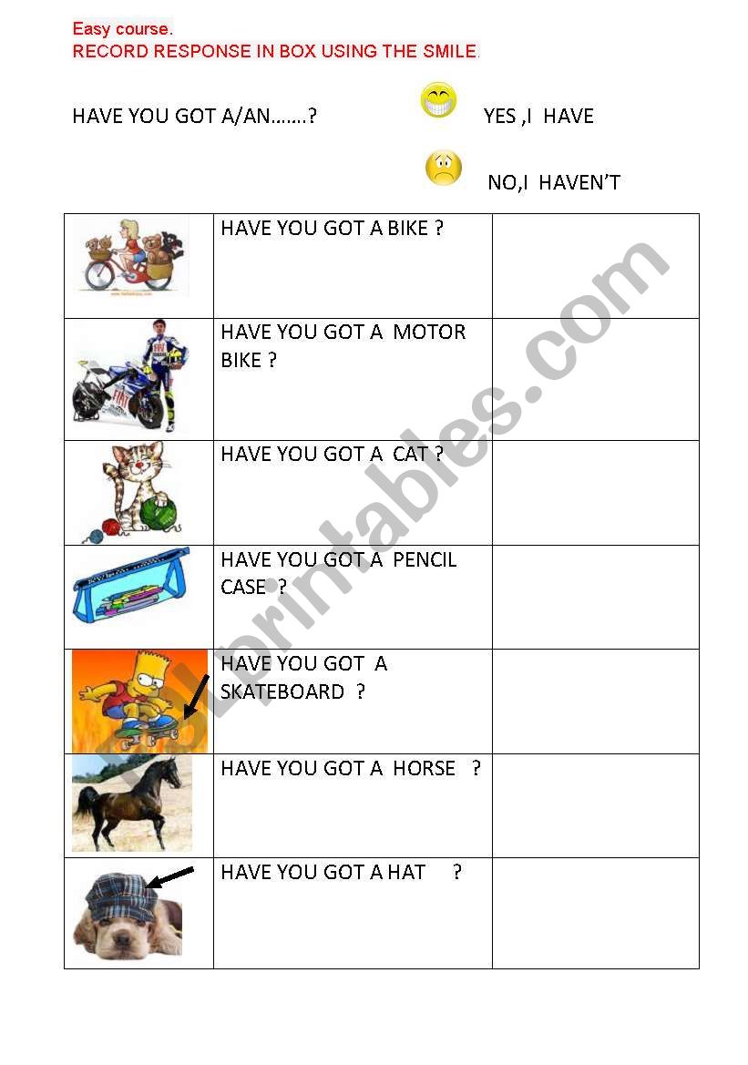 HAVE YOU GOT..? worksheet