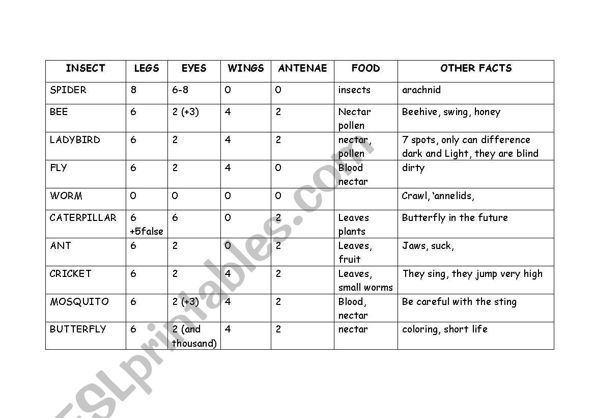 Insects facts worksheet