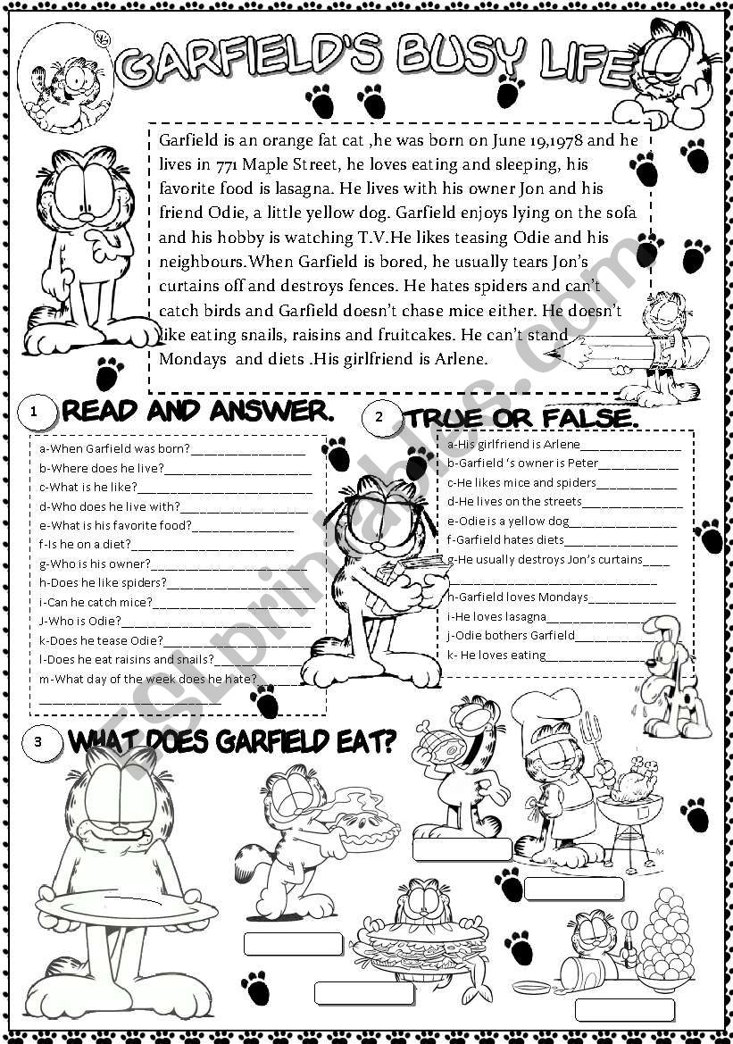 garfield worksheet