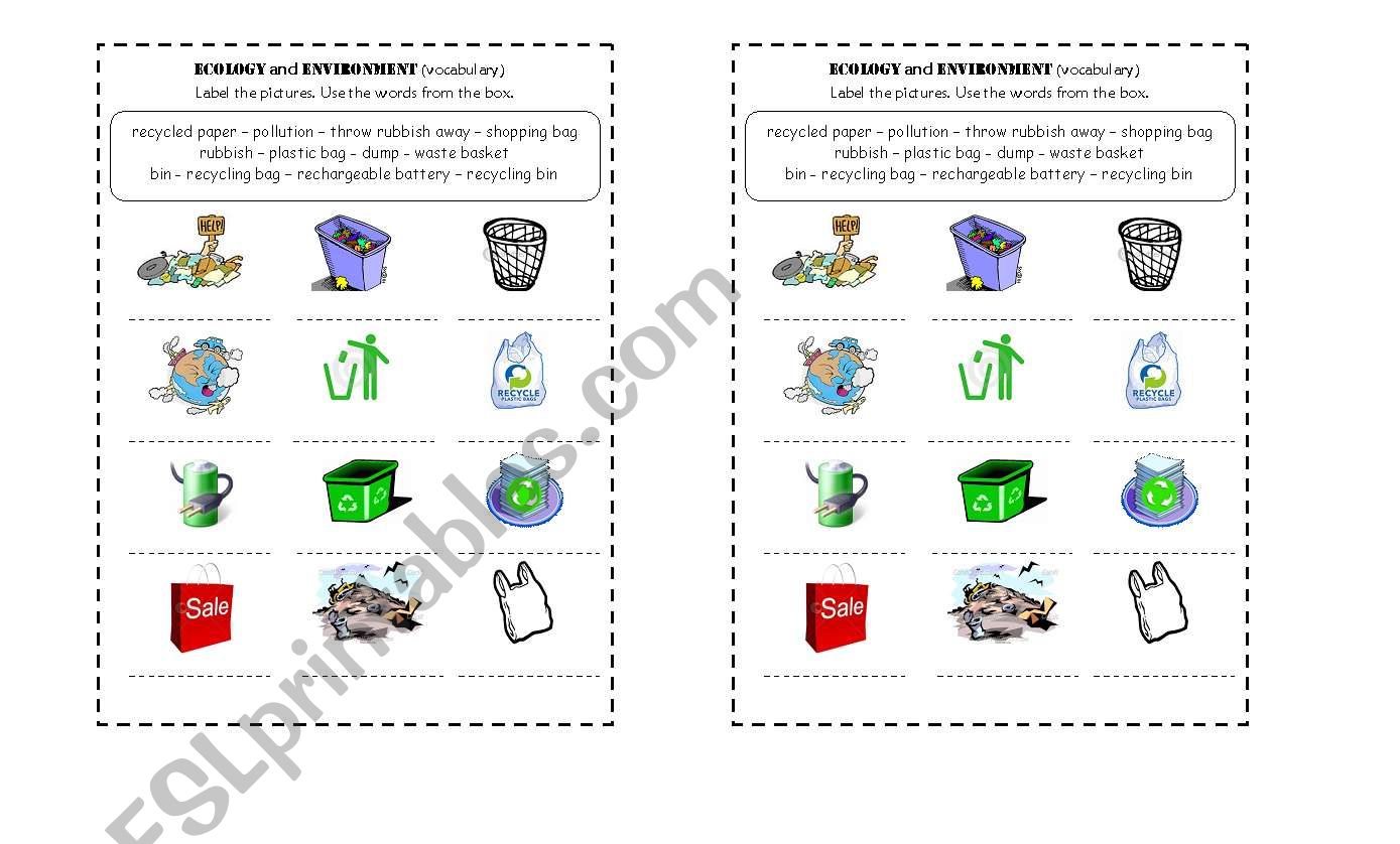 Ecology and Environment Vocabulay