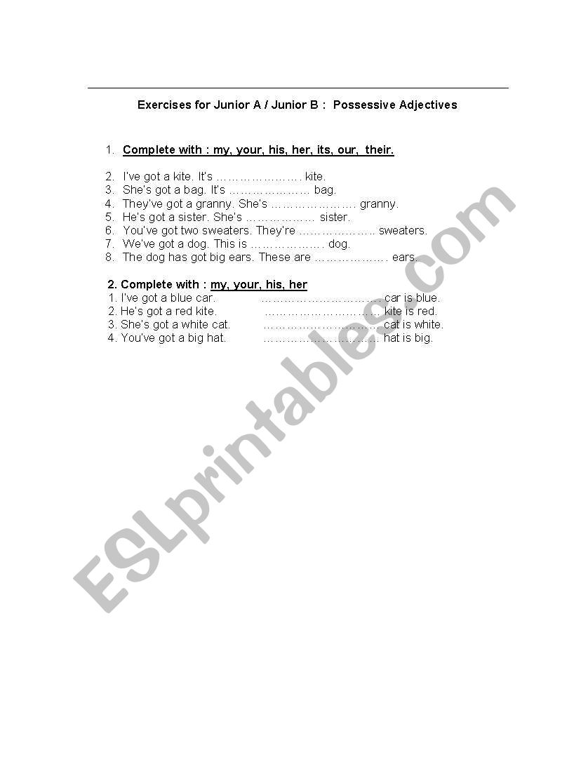 possessive adjectives worksheet