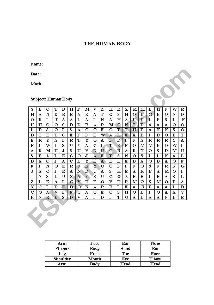 Human Body  worksheet