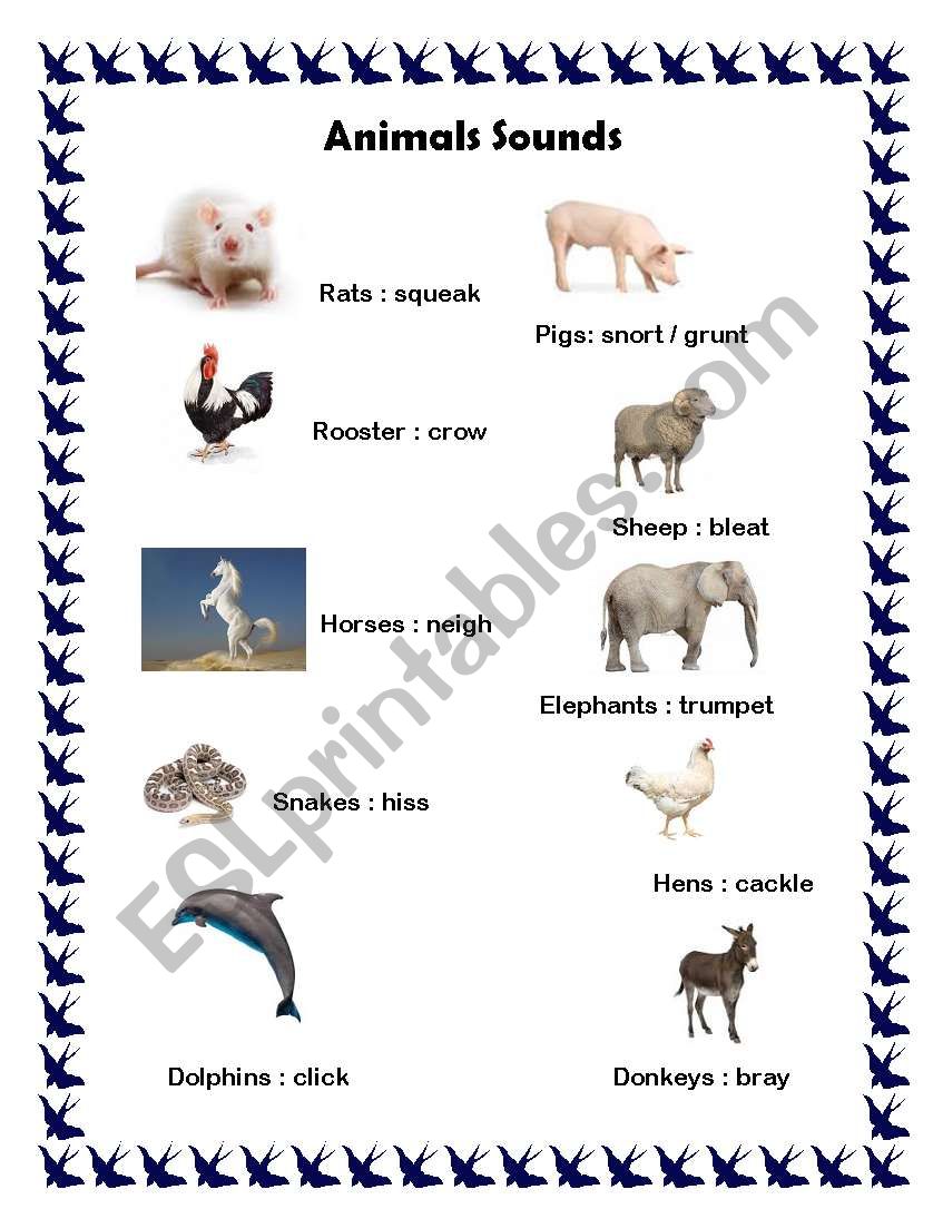 Animals sounds 2 worksheet