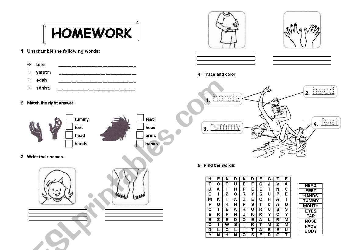 body worksheet