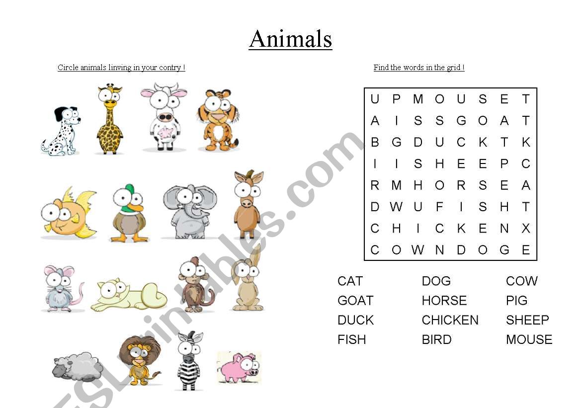 Animals worksheet