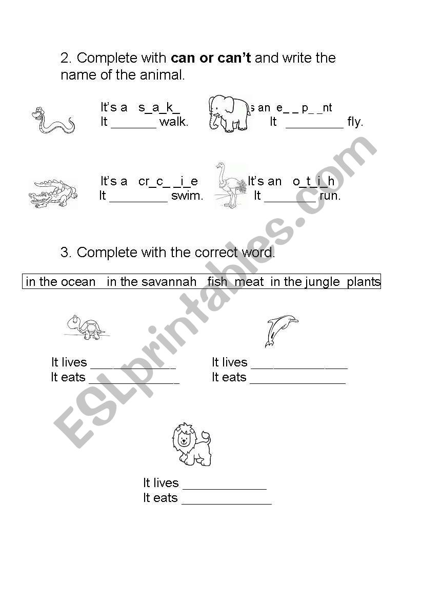 Animals worksheet