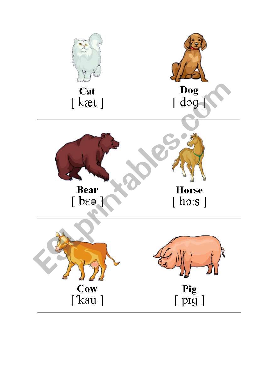 Animals worksheet