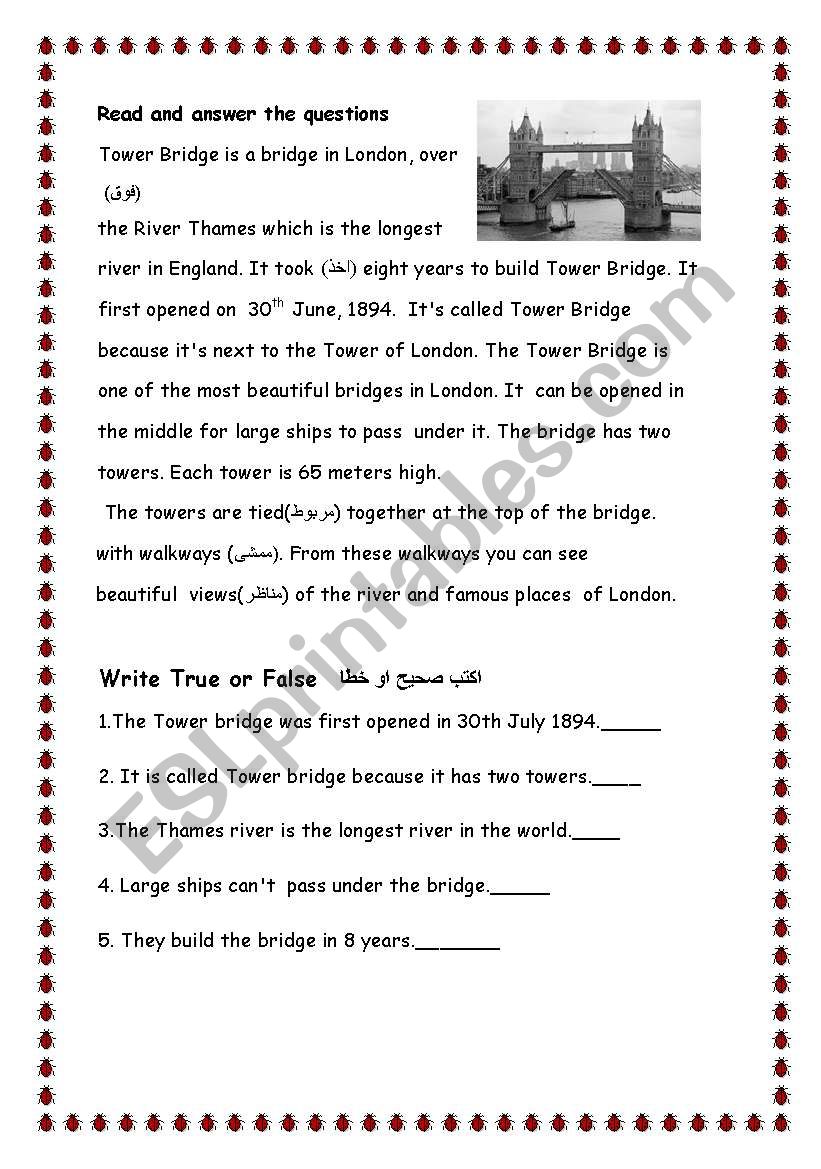 reading comprehension worksheet