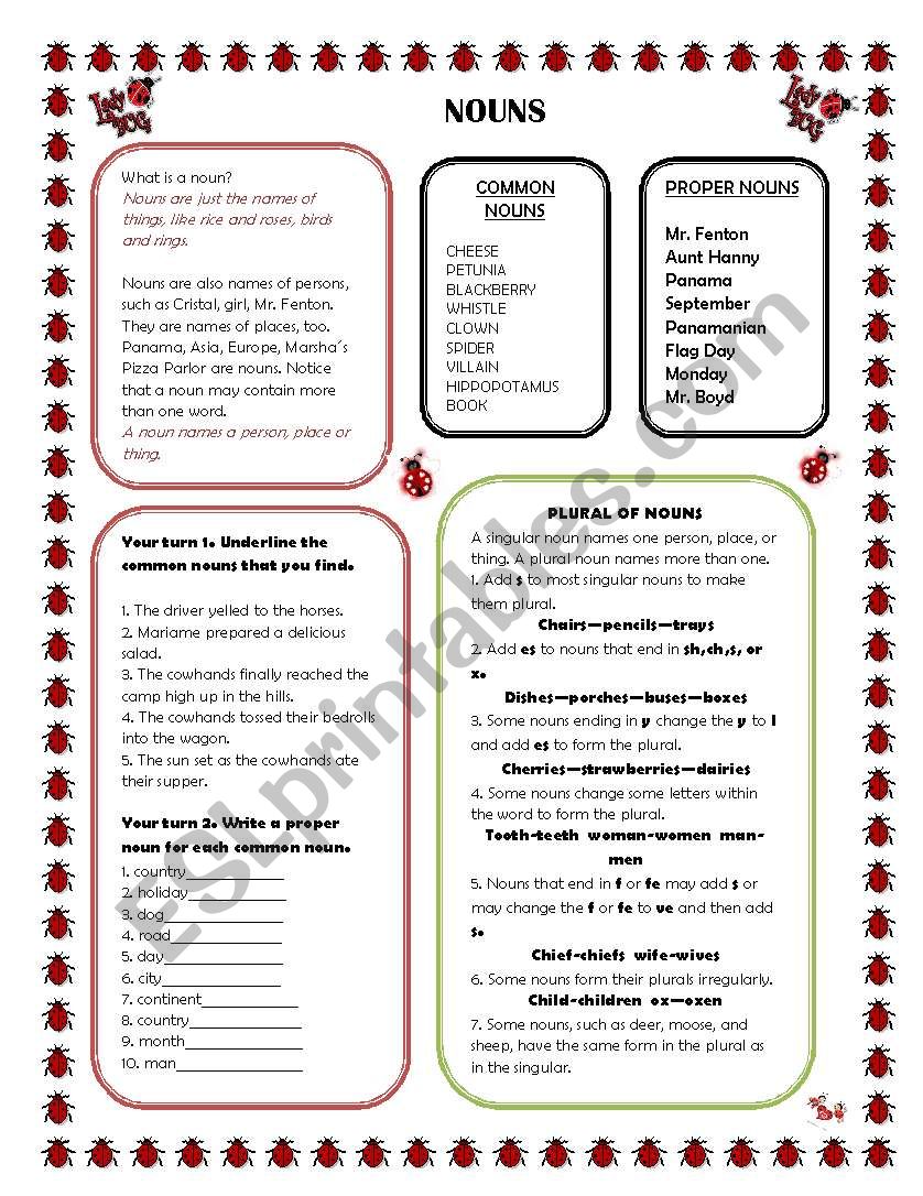 NOUNS worksheet