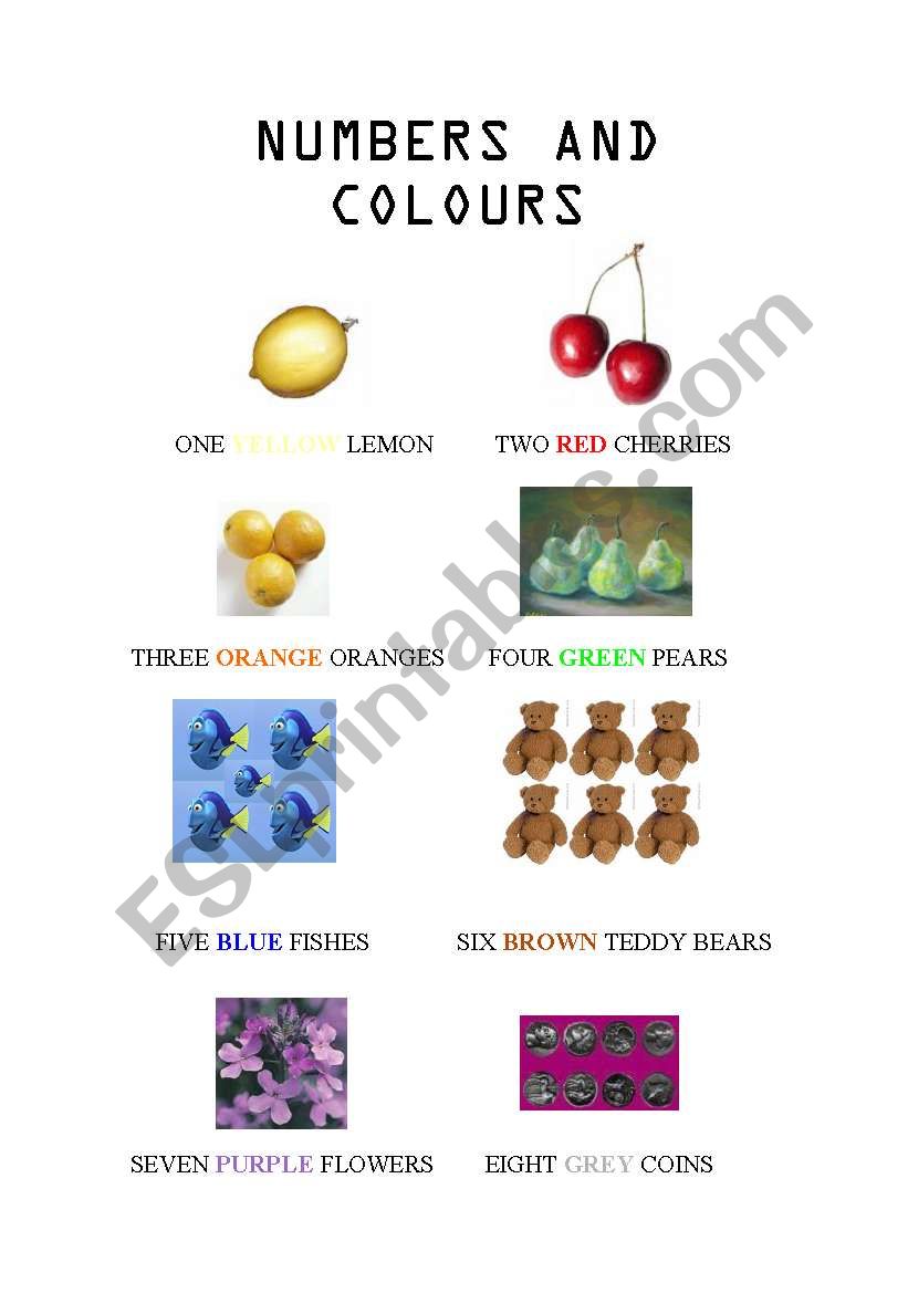 NUMBERS AND COLOURS worksheet