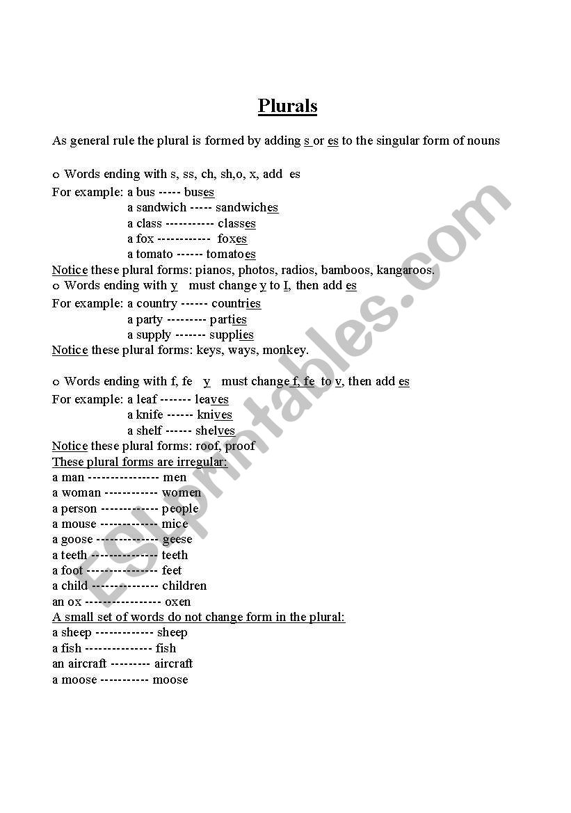 Plural  worksheet