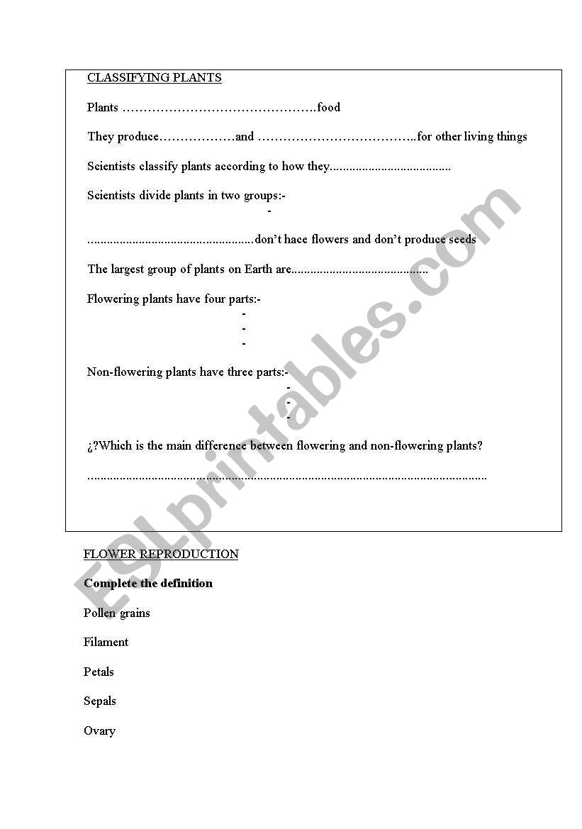 clasifying plants worksheet