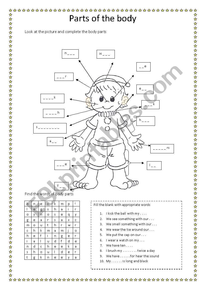 parts of the body worksheet