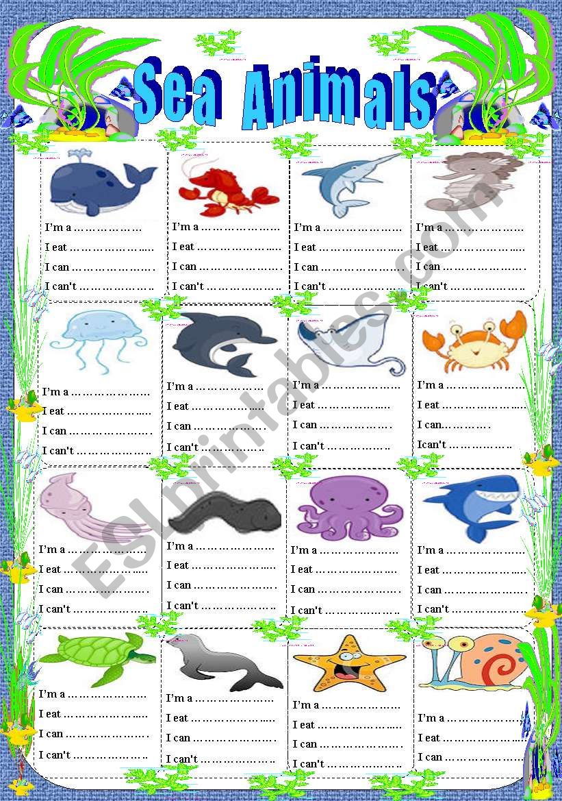 sea animals worksheet