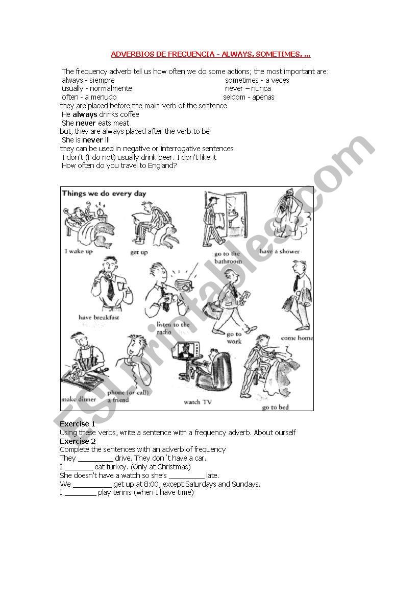 frequency adverbs worksheet