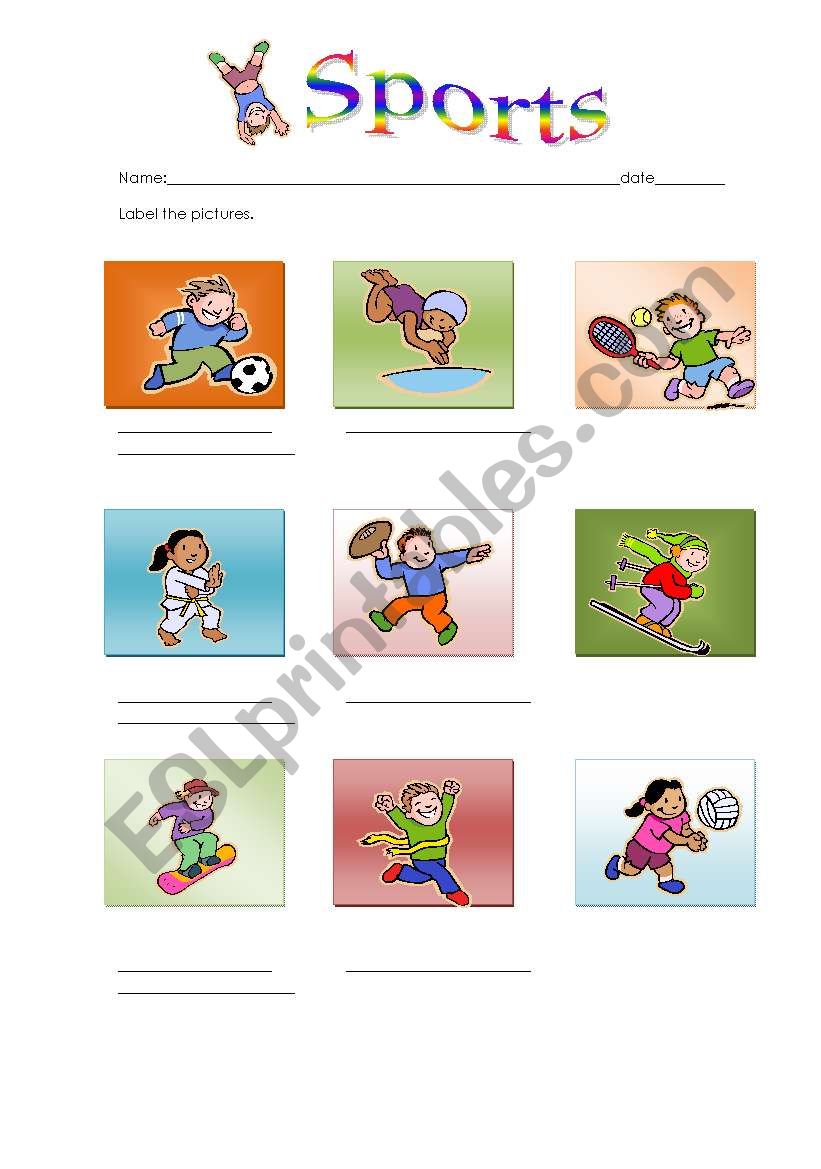 Sports worksheet