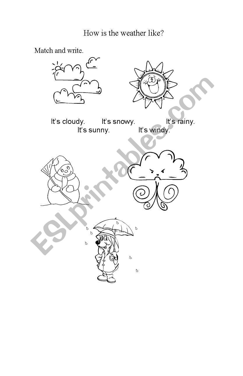 The weather worksheet