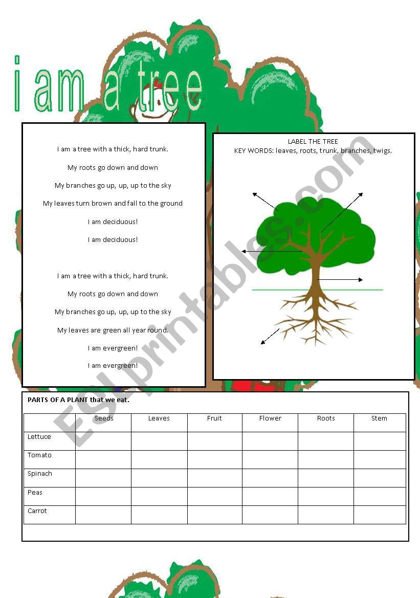 I am a tree worksheet