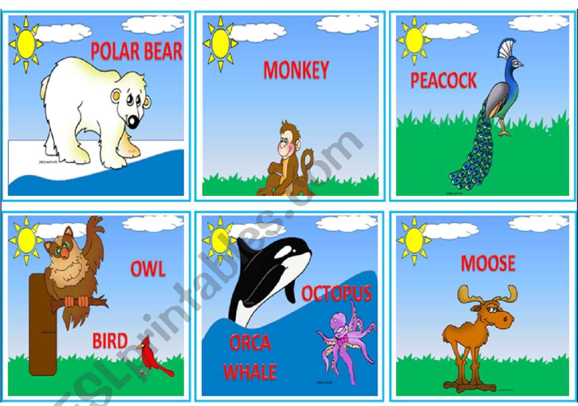 --- WILD ANIMALS --- FLASHCARDS 1/3