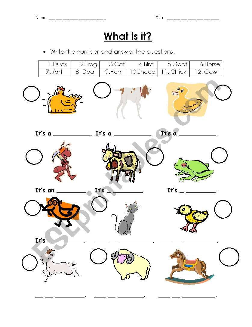 What is it? worksheet