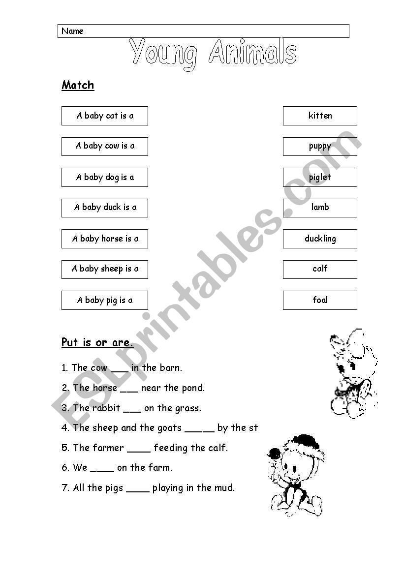 Young animals worksheet