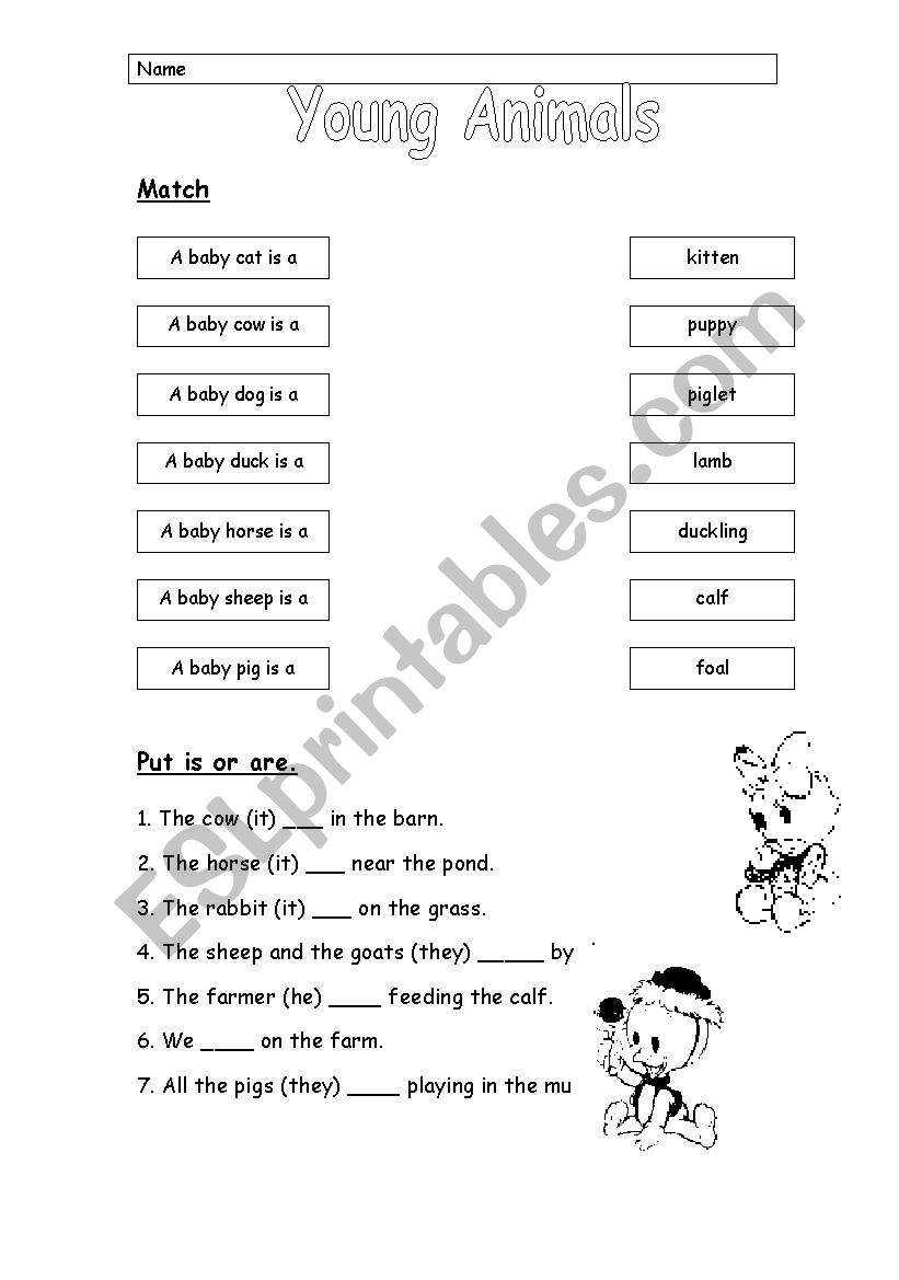 Young Animals 2 worksheet