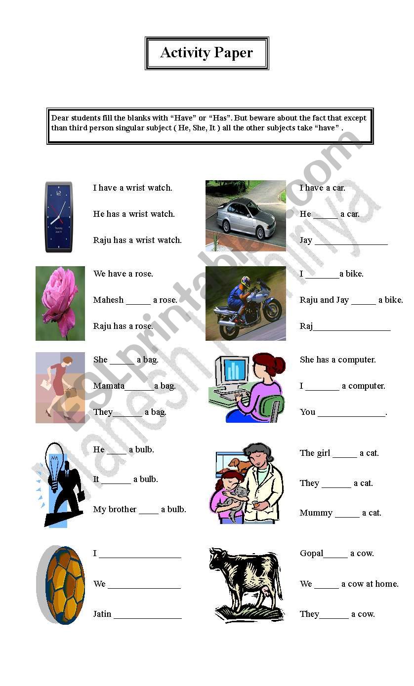 Have and Has Activity worksheet