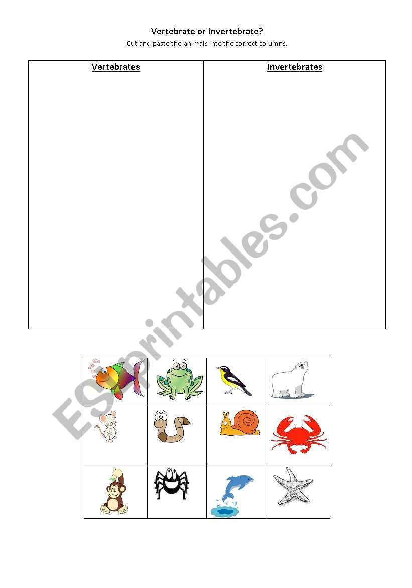 Vertebrate of Invertebrate? worksheet