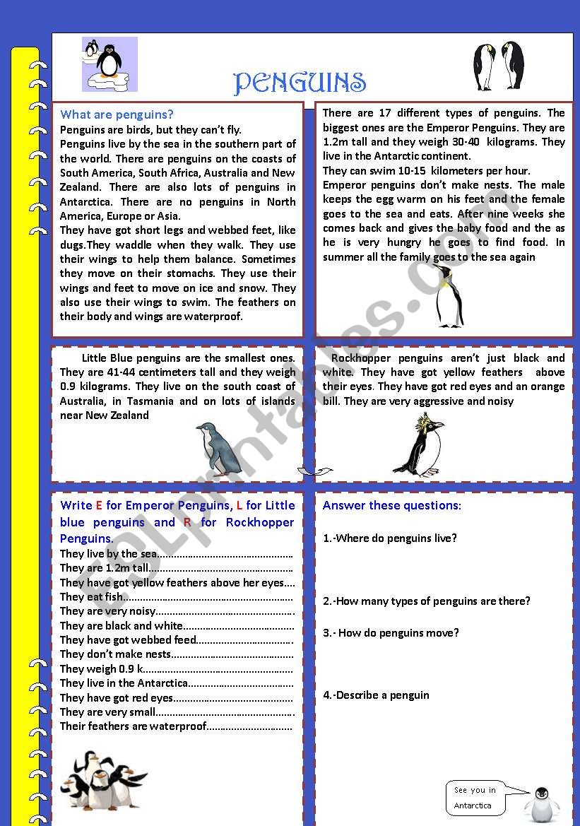 PENGUINS worksheet