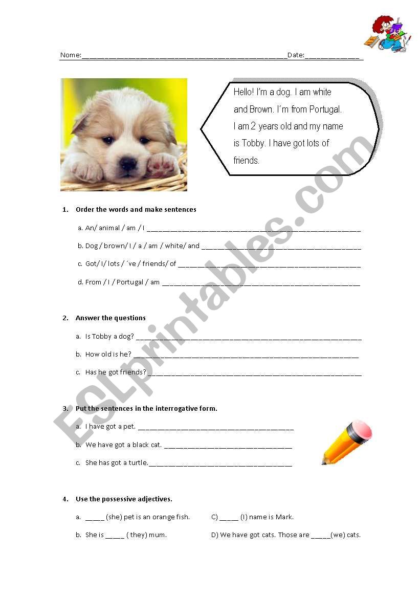 revision worksheet worksheet