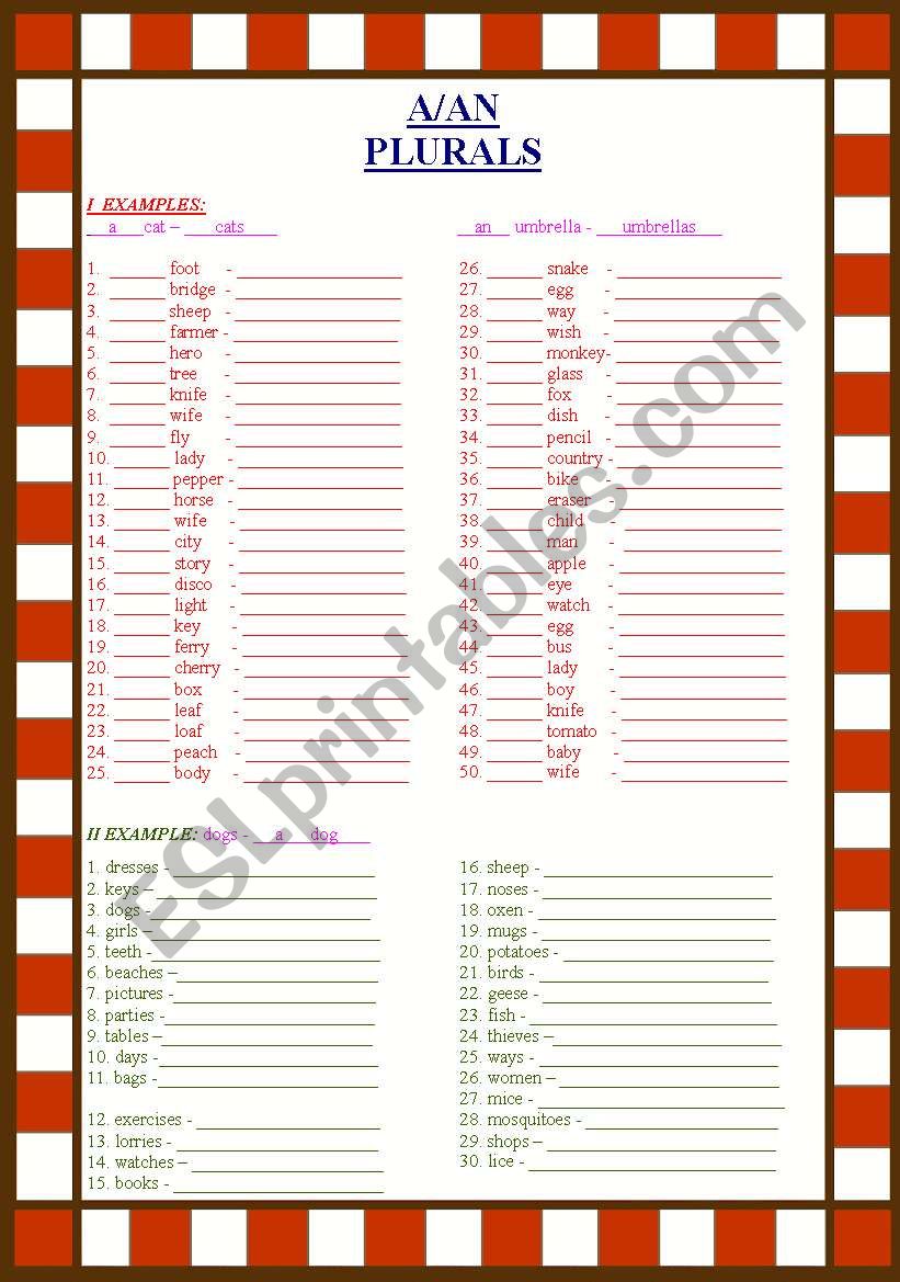 A/AN & PLURALS worksheet